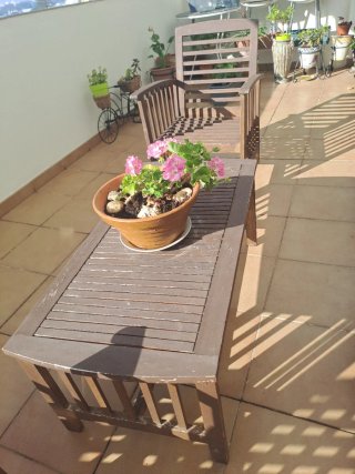 Conjunto Terraza Madera