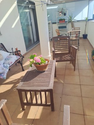Conjunto Terraza Madera
