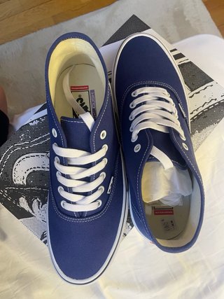 Vans Skate Authentic azul marino