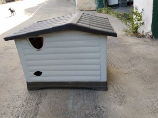 Caseta para perro de plástico