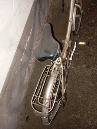 Bicicleta Plegable Plata