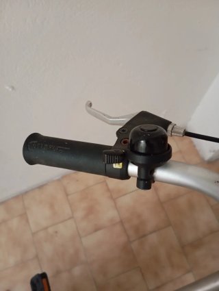 Bicicleta Plegable Plata