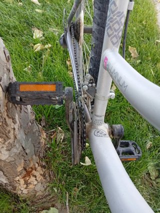 Bicicleta de montaña gris