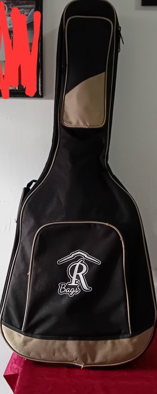 Chitarra Acustica Takamine GSD11MCE NG