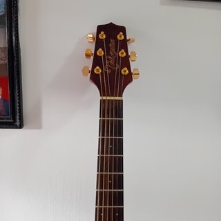 Chitarra Acustica Takamine GSD11MCE NG