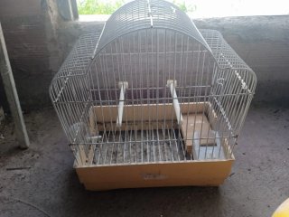Jaulas medianas