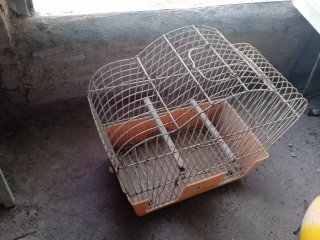 Jaulas medianas