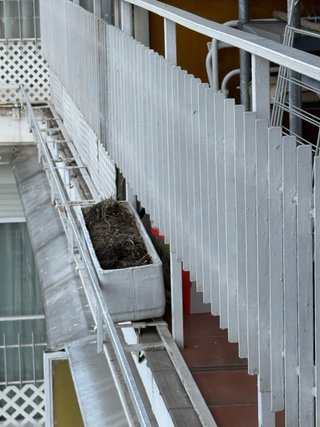 Jardineras blancas para terraza (6)