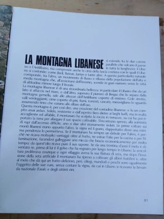 Libro de viaje liban 263 hojas