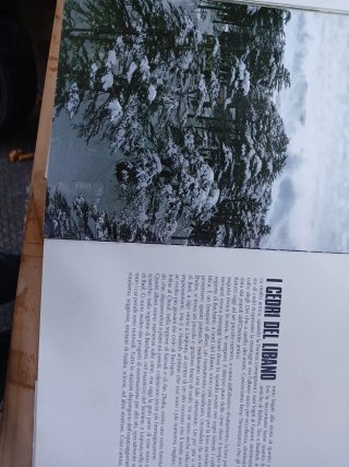 Libro de viaje liban 263 hojas
