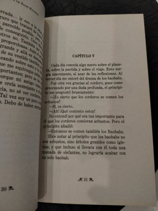 El principito