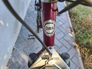 Bicicleta DBS Kilimanjaro  chasis de aluminio
