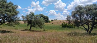 Terreno rústico, parcelas campo