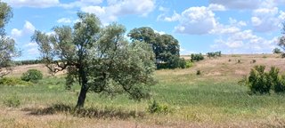 Terreno rústico, parcelas campo