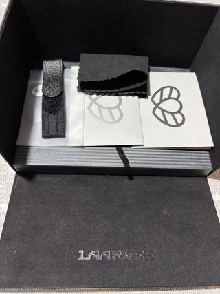 Reloj Laarvee PEA005-CFRPBLK