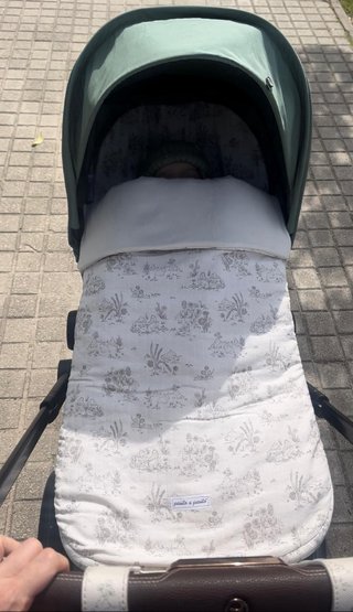Carrito Bebé Cybex Priam Completo