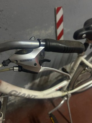 Bicicleta Giant Donna Taglia M per uso urbano/passeggiate