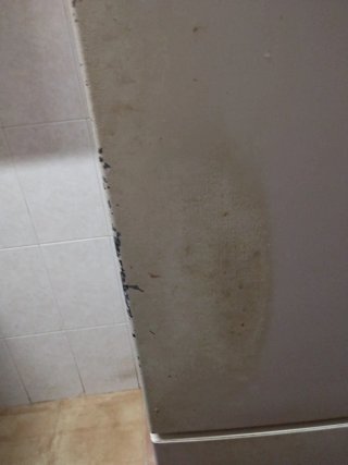 Frigorífico Samsung con congelador