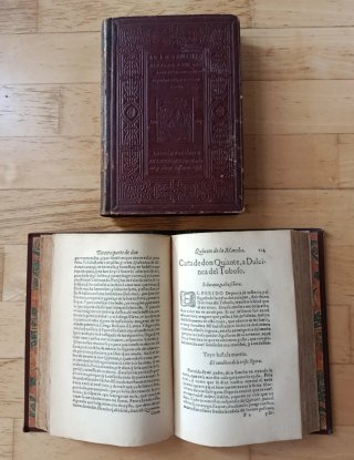El Ingenioso Hidalgo Don Quixote de la Mancha
