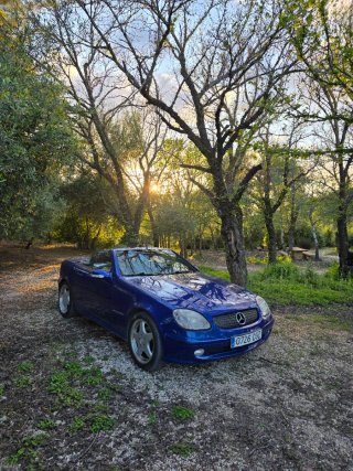 Mercedes-Benz SLK 2001