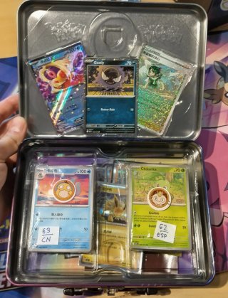 Mega Lote Maletín Pokémon + 260 cartas + extras