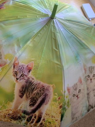 Paraguas infantil gatitos