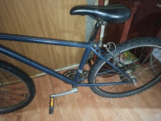 Bicicleta de Montaña Azul