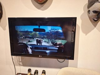 Televisor LG Negro