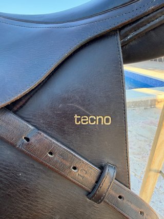 Montura para Caballos Tecno by Tosoni Selleria