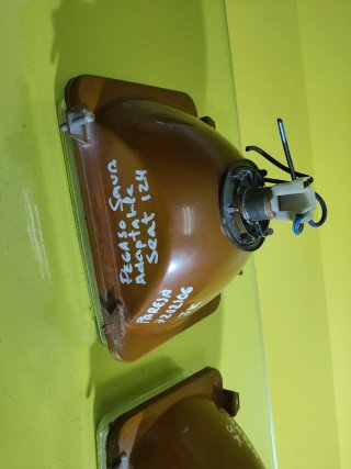 FAROS DELANTEROS PEGASO SAVA (124)