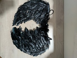 Alas negras de plumas