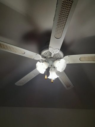 Ventilatore da soffitto legno e oro