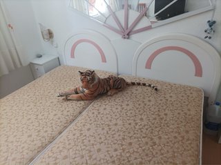 Apartamento en Benidorm!!