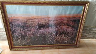 Cuadro 143x93 cm Flores y Paisaje