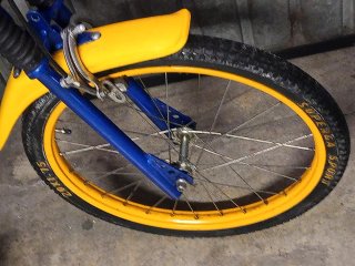 Bici Regina Romagna 20 con cambio