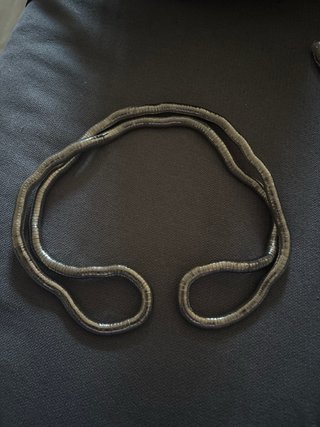 Collar de plata serpiente