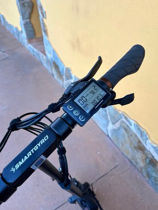 Patinete Eléctrico SmartGyro Speedway pro