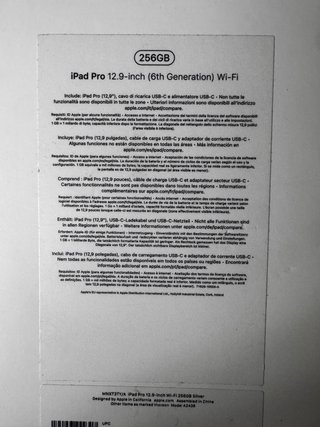 iPad Pro 12.9 6ª Gen Plata
