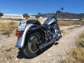 Harley Davidson Fat Boy Plata