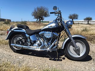 Harley Davidson Fat Boy Plata