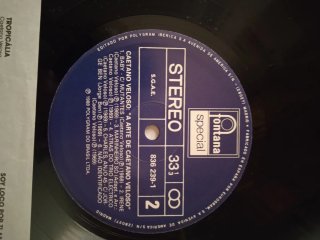 Vinilo doble A Arte de Caetano Veloso