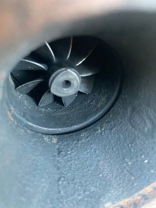 Turbo jumper, boxer, transit