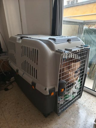 Transportín Skudo perro grande (hasta 40kg)