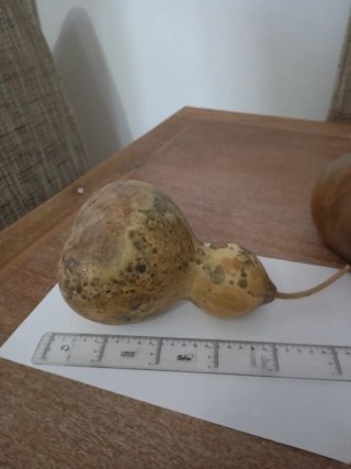 Calabaza decorativa / Berimbau