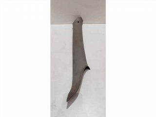 MOLDURA 8200215490 44907