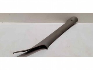 MOLDURA 8200215490 44907