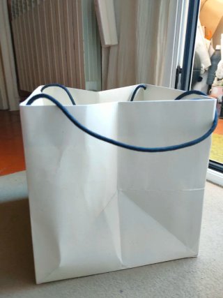 Bolsa Loewe cuadrada.