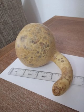 Calabaza
