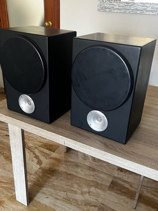 Zu Audio Tone Altavoces
