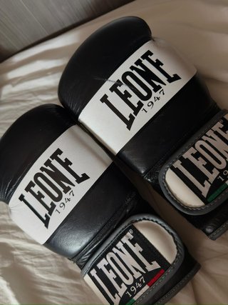 Guantes boxeo, guantilla, espinilleras Leone/Venum